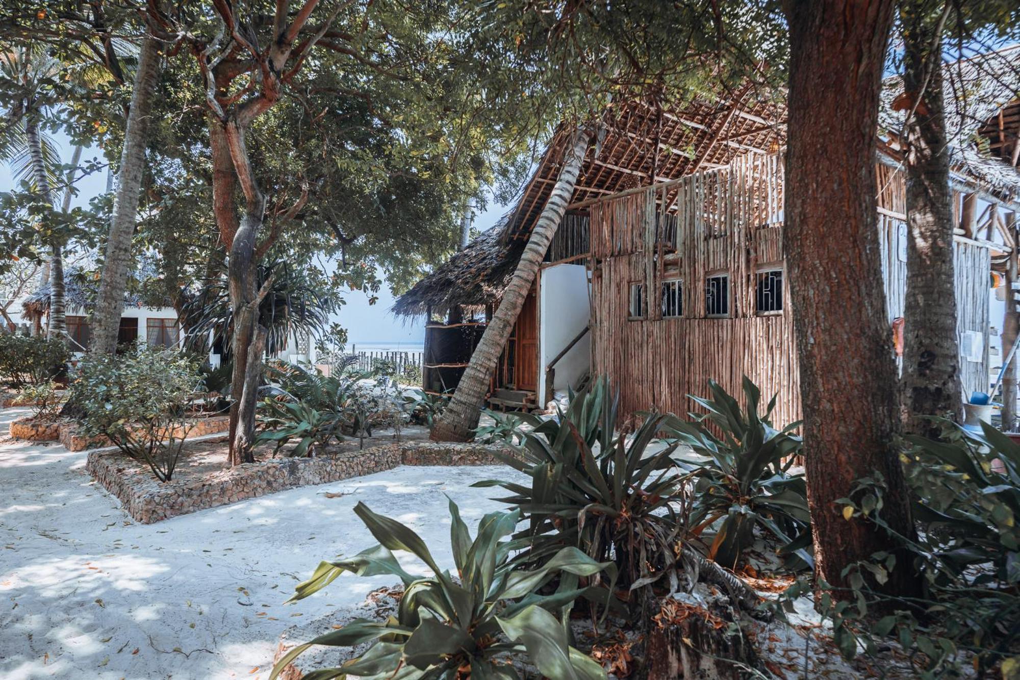 Pili Pili Beach Bungalows Jambiani  Bagian luar foto